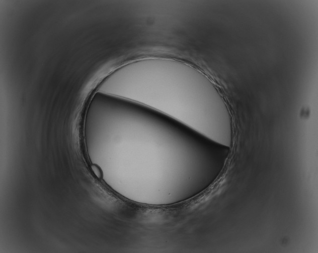 X0000101980341200807180805