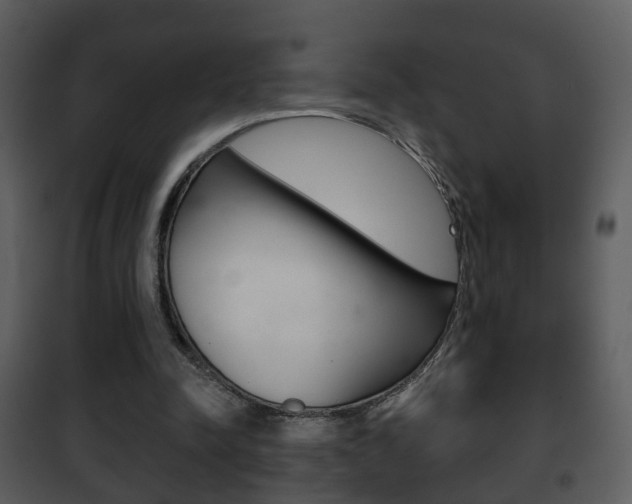 X0000101980342200807180805