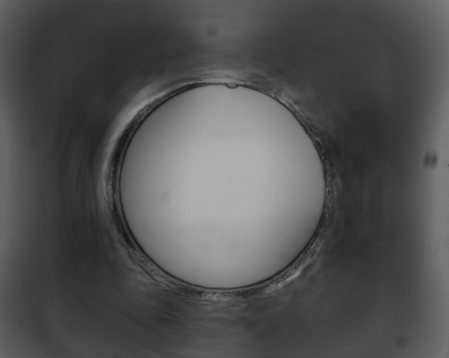 X0000101980343200807180805