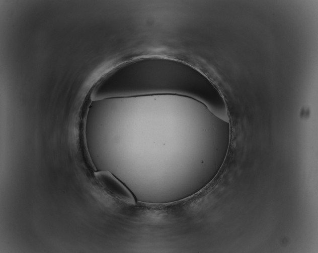 X0000101980344200807180805