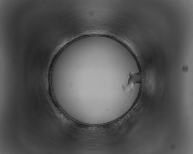X0000101980345200807180805