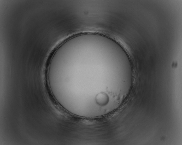 X0000101980346200807180805