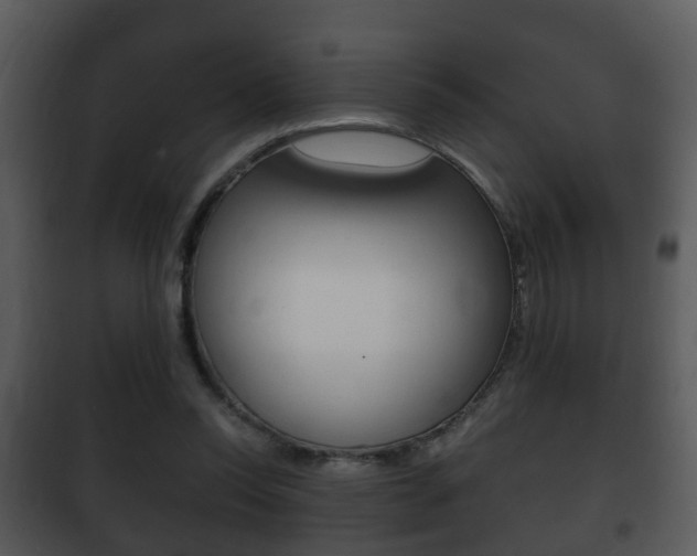 X0000101980350200807180806