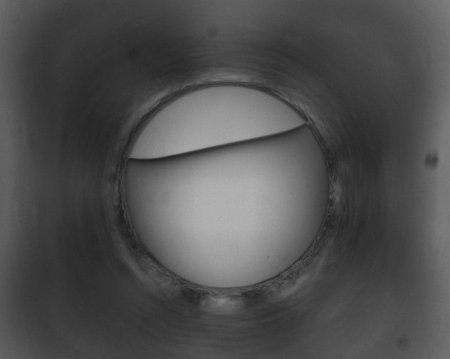 X0000101980352200807180806