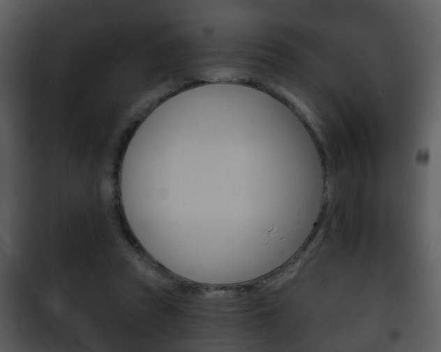 X0000101980353200807180806