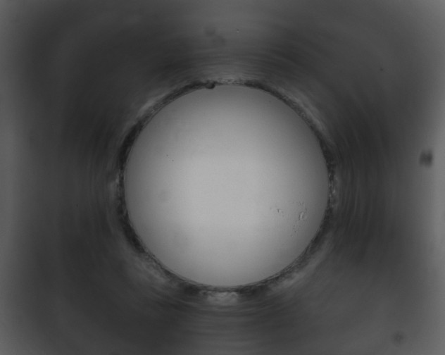 X0000101980355200807180806