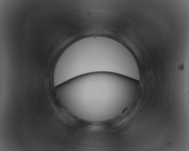 X0000101980356200807180806