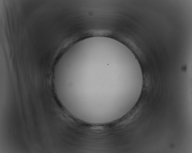 X0000101980357200807180806