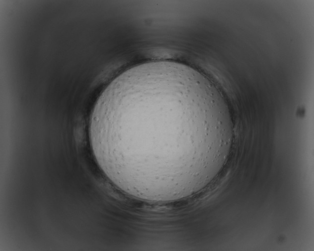 X0000101980359200807180806