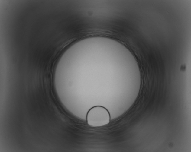 X0000101980360200807180806