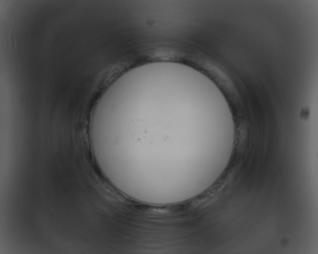 X0000101980361200807180806