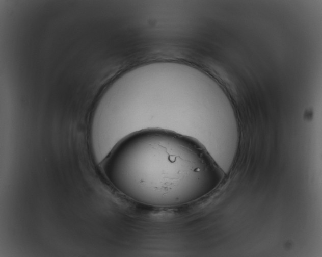 X0000101980362200807180806