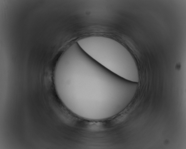 X0000101980363200807180806