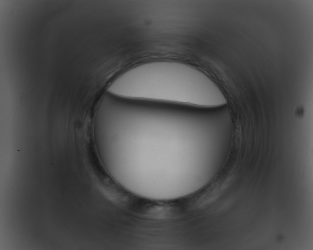 X0000101980364200807180806