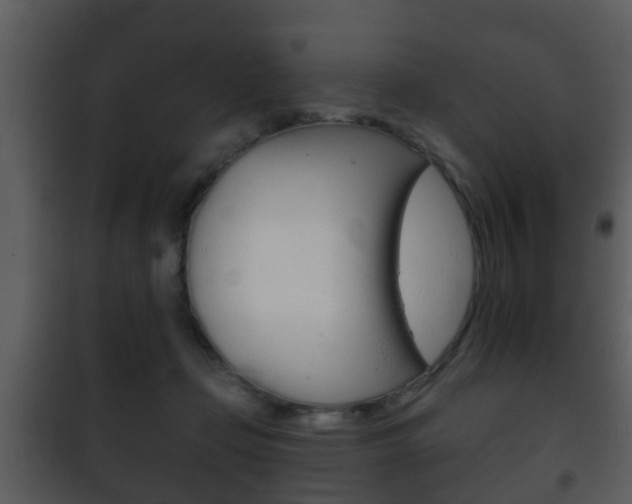 X0000101980365200807180806