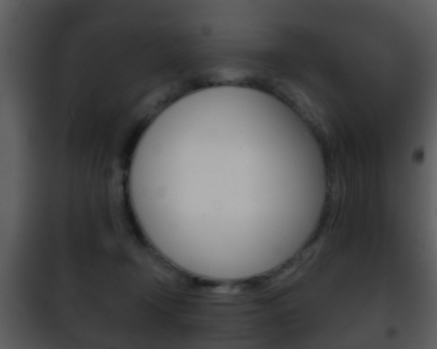 X0000101980366200807180806