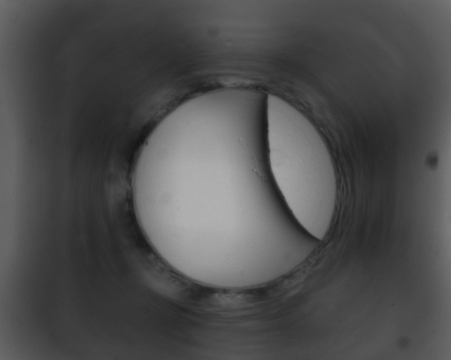 X0000101980367200807180806