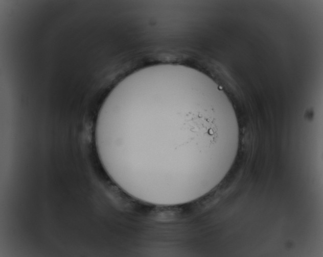 X0000101980368200807180806