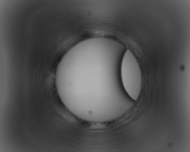 X0000101980369200807180806