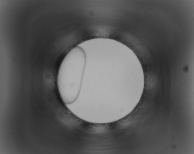 X0000101980370200807180806