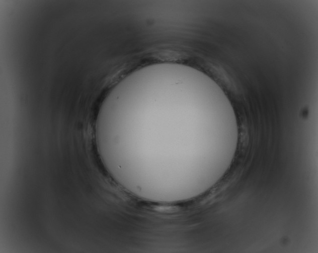 X0000101980371200807180806