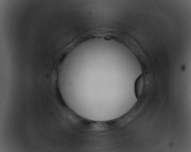 X0000101980372200807180806