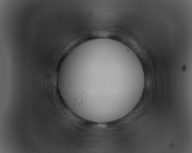 X0000101980374200807180806