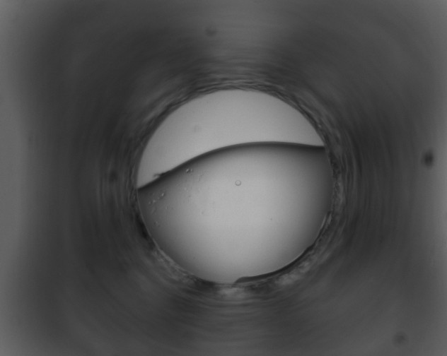 X0000101980376200807180806