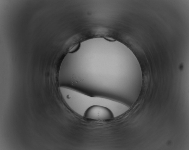 X0000101980379200807180806