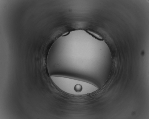 X0000101980380200807180806