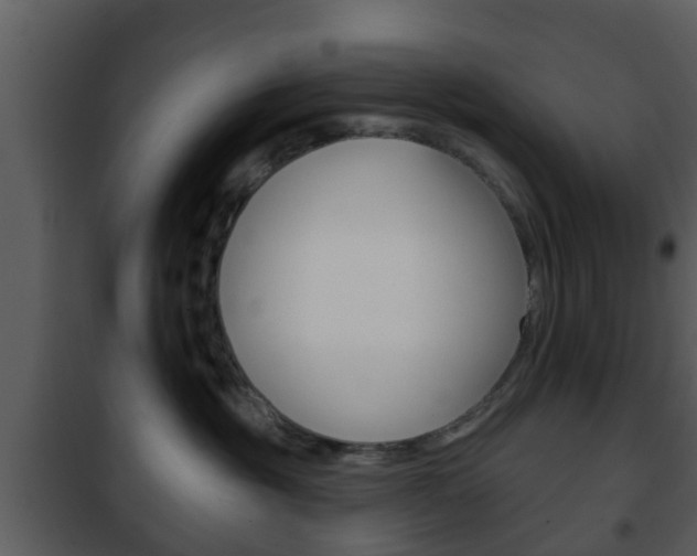 X0000101980381200807180806