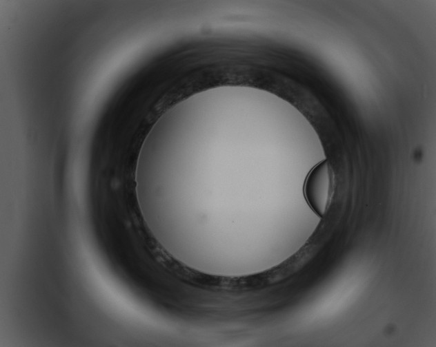 X0000101980383200807180806