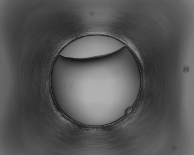 X0000101980385200807180805