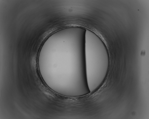 X0000101980386200807180805
