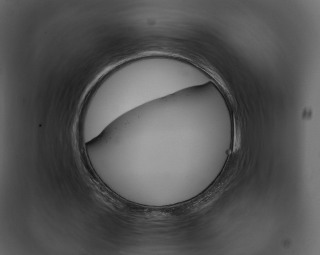X0000101980387200807180805