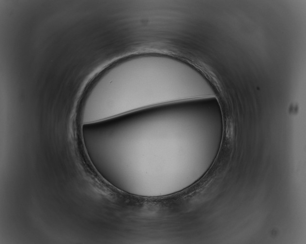 X0000101980388200807180805