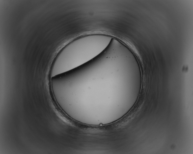 X0000101980389200807180805