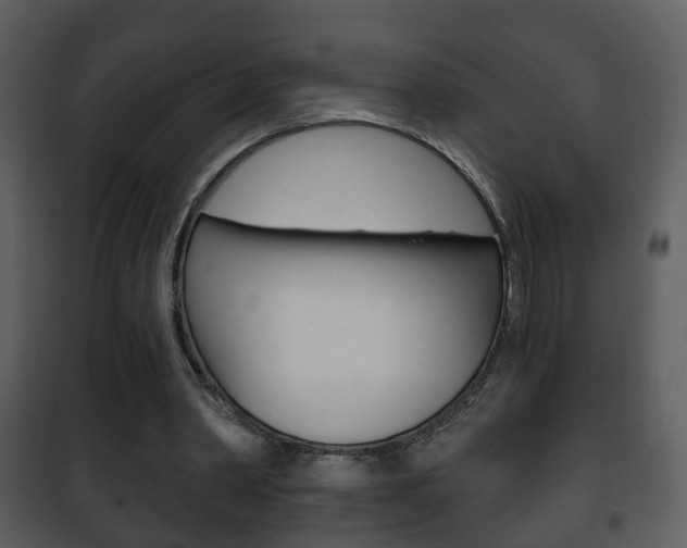 X0000101980390200807180805
