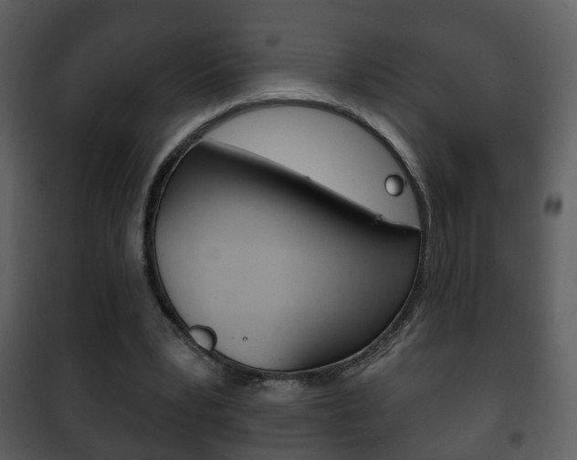 X0000101980391200807180805