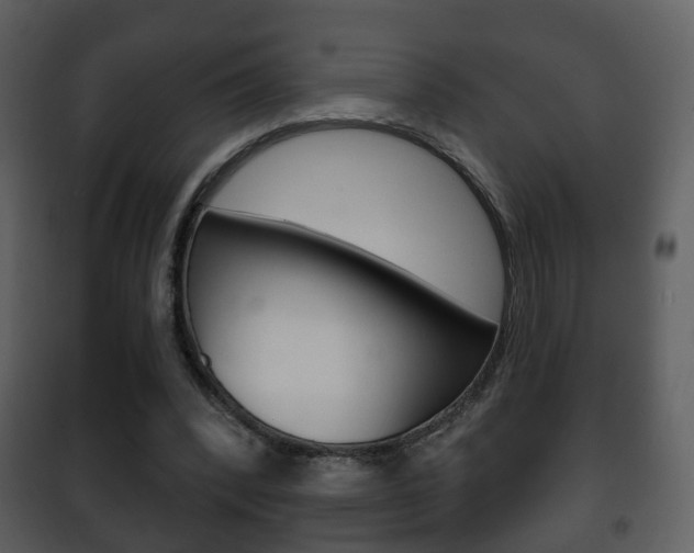 X0000101980392200807180805