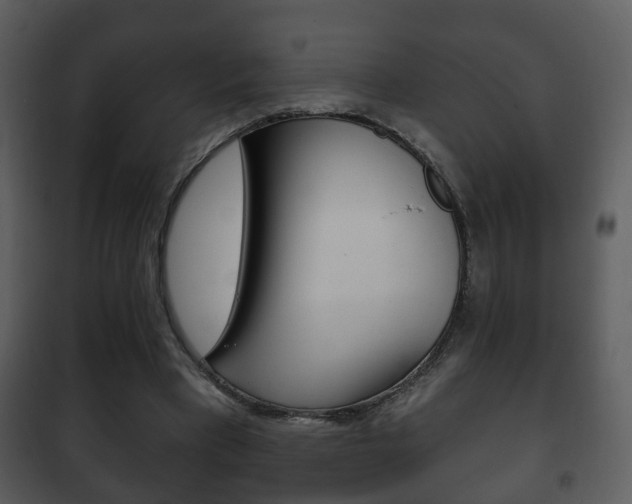 X0000101980393200807180805
