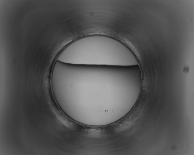 X0000101980394200807180805