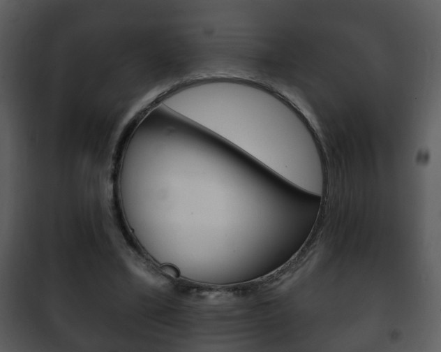 X0000101980395200807180805