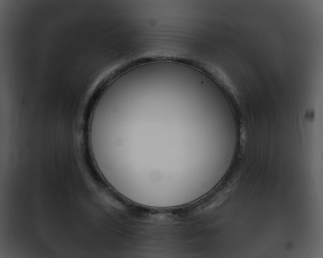 X0000101980396200807180805