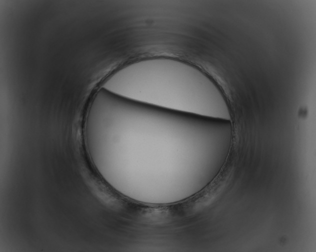 X0000101980398200807180805