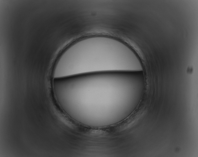 X0000101980399200807180805
