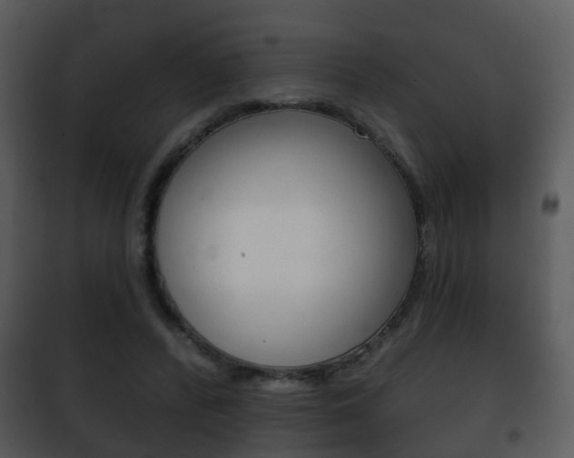 X0000101980400200807180805