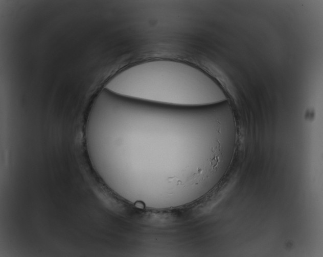 X0000101980401200807180805