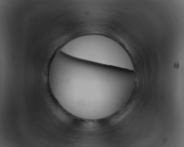 X0000101980402200807180805