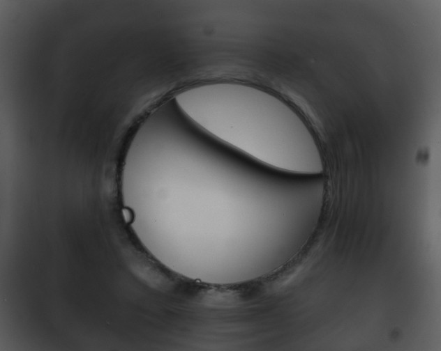 X0000101980403200807180805